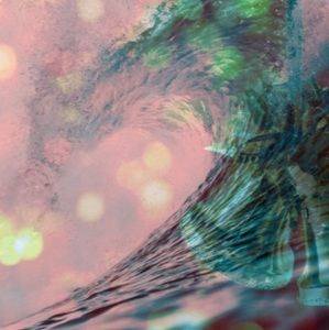 Meet your Posher, Lainey